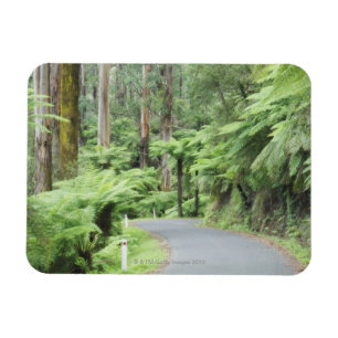 Imán Parque nacional de Tarra Bulga, gamas de