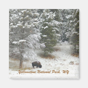 Imán Parque nacional de Yellowstone, WY