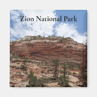 Imán Parque nacional de Zion