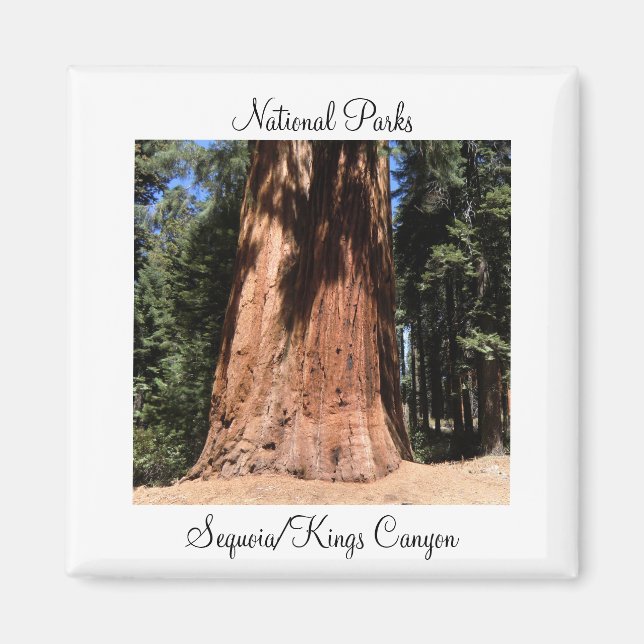 Imán Parque nacional del Cañón Sequoia Kings (Frente)