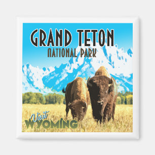Imán Parque nacional del Gran Tetón