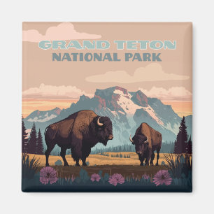 Imán Parque nacional del Gran Tetón Montaña Jackson Wyo