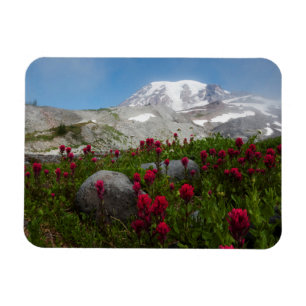 Imán Parque Nacional del Monte Rainier, Monte Rainier 1