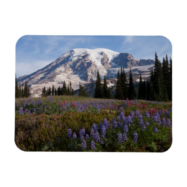 Imán Parque Nacional del Monte Rainier, Monte Rainier 3 (Horizontal)