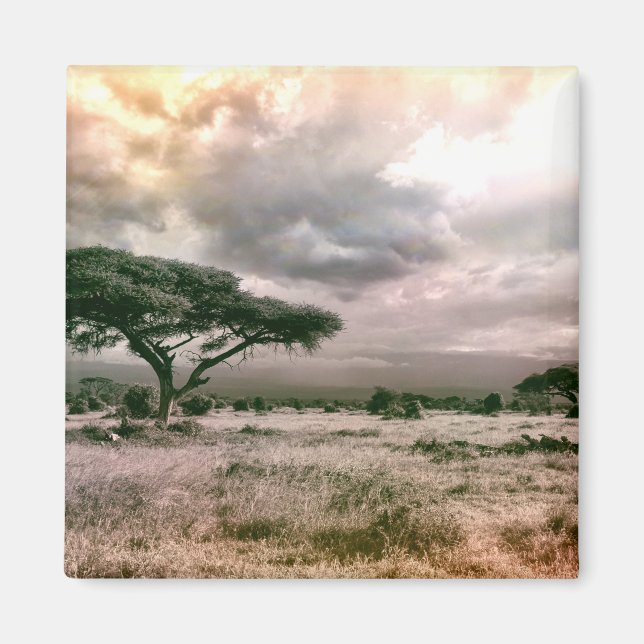 Imán Parque nacional del Sahara Africano Serengeti Sava (Frente)