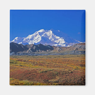 Imán Parque Nacional Denali Mt. McKinley, Alaska.