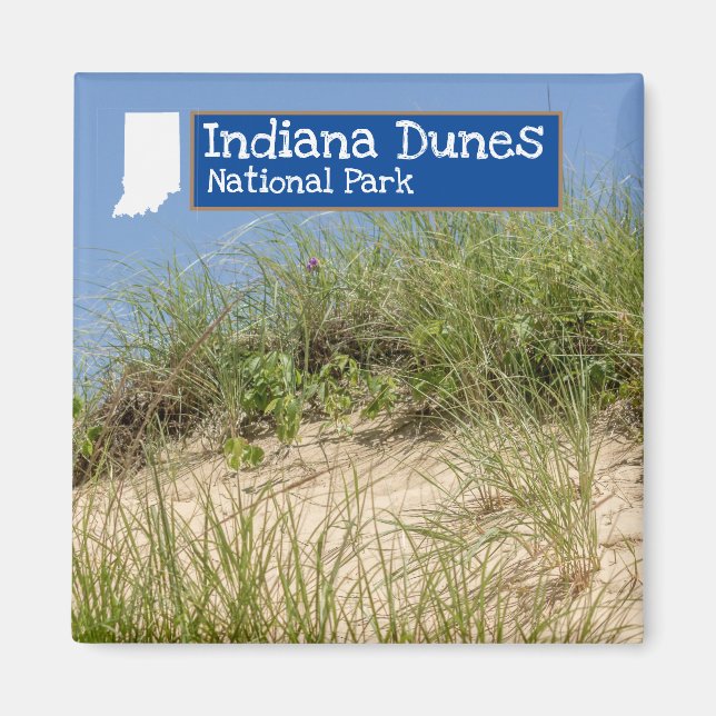 Imán Parque nacional Dunas de Indiana (Frente)