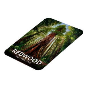 Imán Parque nacional estatal Redwood, California coster