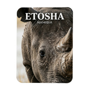 Imán Parque Nacional Etosha Namibia
