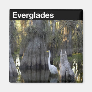 Imán Parque nacional Everglades