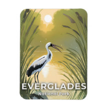 Parque Nacional Everglades | Cigüeña Acuarela