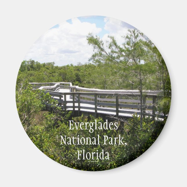 Imán Parque Nacional Everglades, Florida (Frente)