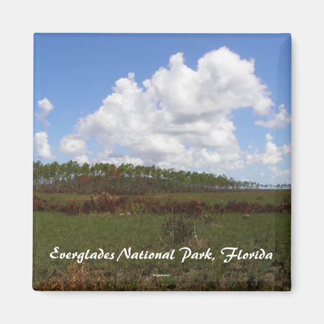 Imán Parque Nacional Everglades, Florida (Frente)