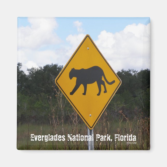 Imán Parque Nacional Everglades, Florida (Frente)