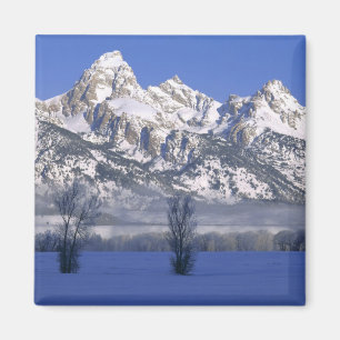 Imán PARQUE NACIONAL GRAND TETON, WYOMING. EE. UU. Nieb