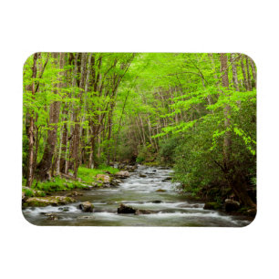 Imán Parque Nacional Grandes Montañas Humeantes Carolin