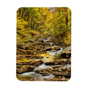 Imán Parque Nacional Great Smoky Mountains. Big Creek