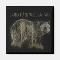 Parque nacional Grizzly Forest Grand Teton