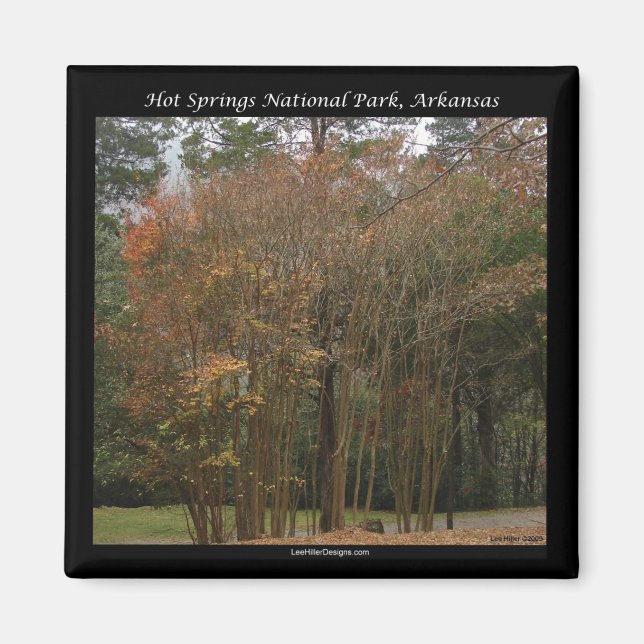 Imán Parque nacional Hot Springs, AR sobre el paseo mar (Frente)