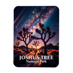 Imán Parque Nacional Joshua Tree Noche Cielo Vía Láctea