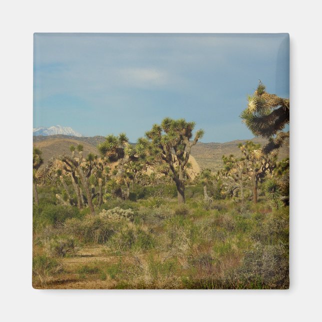 Imán Parque Nacional Joshua Tree Paisaje Desértico (Frente)