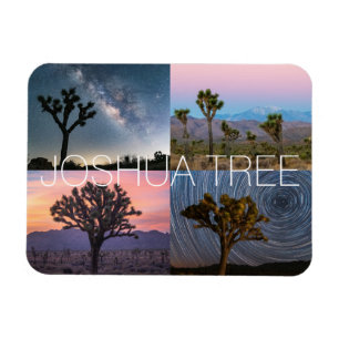 Imán Parque nacional Joshua Tree Paisaje nocturno Sunse