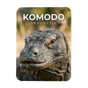 Imán Parque Nacional Komodo Indonesia