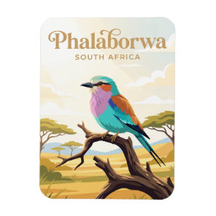 Imán Parque Nacional Kruger Sudáfrica