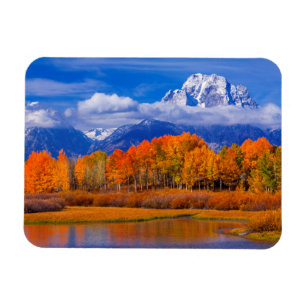 Imán Parque nacional magnífico el   Wyoming de Teton