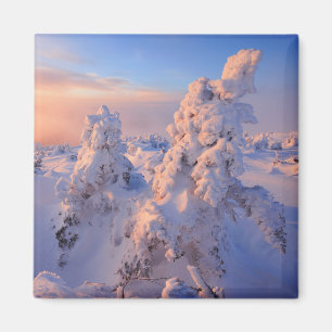 Imán Parque nacional Mont Logan Sunrise Gaspesie Quebec