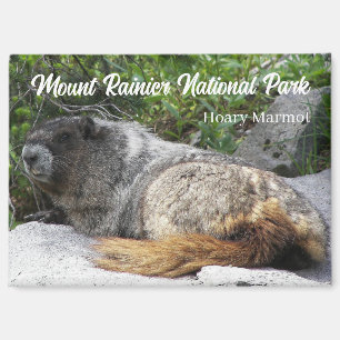 Imán Parque nacional Monte Rainier Marmot Hoary