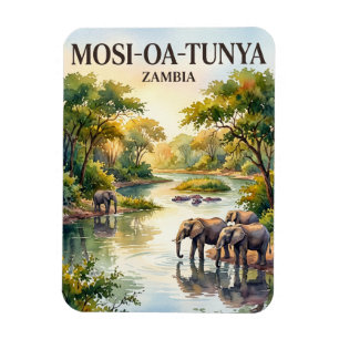 Imán Parque Nacional Mosi-oa-Tunya Zambia