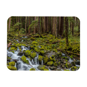 Imán Parque Nacional Olímpico, Estado de Washington