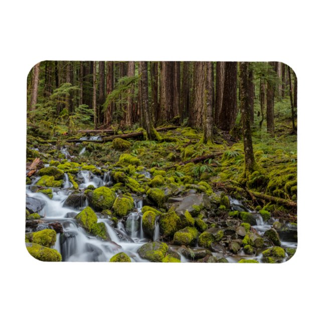 Imán Parque Nacional Olímpico, Estado de Washington (Horizontal)