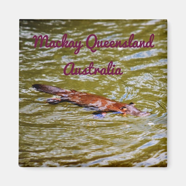 IMÁN PARQUE NACIONAL PLATYPUS EUNGELLA AUSTRALIA (Frente)
