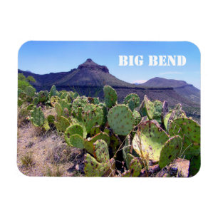 Imán Parque nacional Pricky Pear Cactus Big Bend