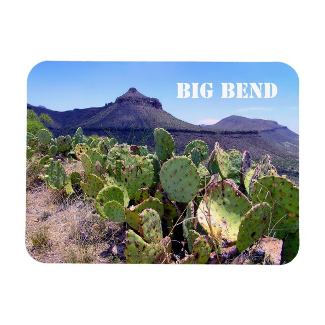 Imán Parque nacional Pricky Pear Cactus Big Bend (Horizontal)