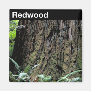 Imán Parque nacional Redwood