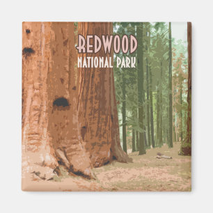 Imán Parque nacional Redwood California