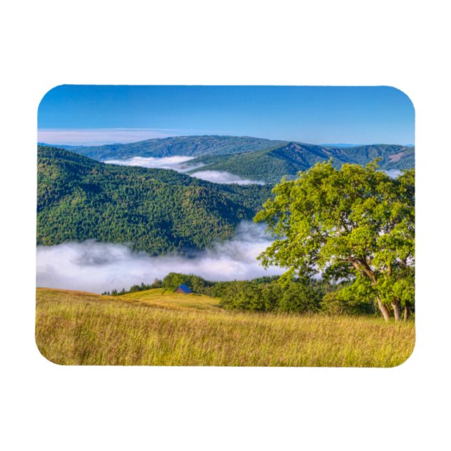 Imán Parque Nacional Redwood, California (Horizontal)