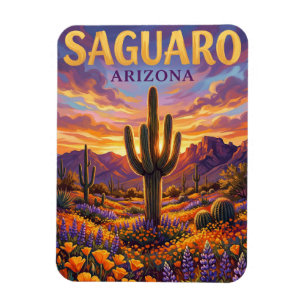 Imán Parque Nacional Saguaro EE. UU.