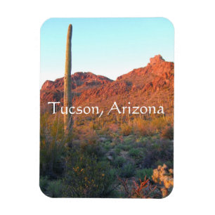 Imán parque nacional Saguaro, Tucson Arizona