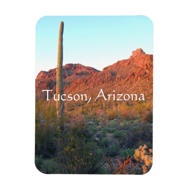 Imán parque nacional Saguaro, Tucson Arizona (Vertical)