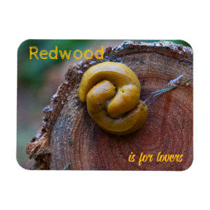 Imán Parque nacional secuoya Banana Slug Pair