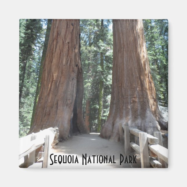 Imán Parque nacional Sequoia (Frente)