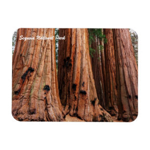 Imán Parque nacional Sequoia
