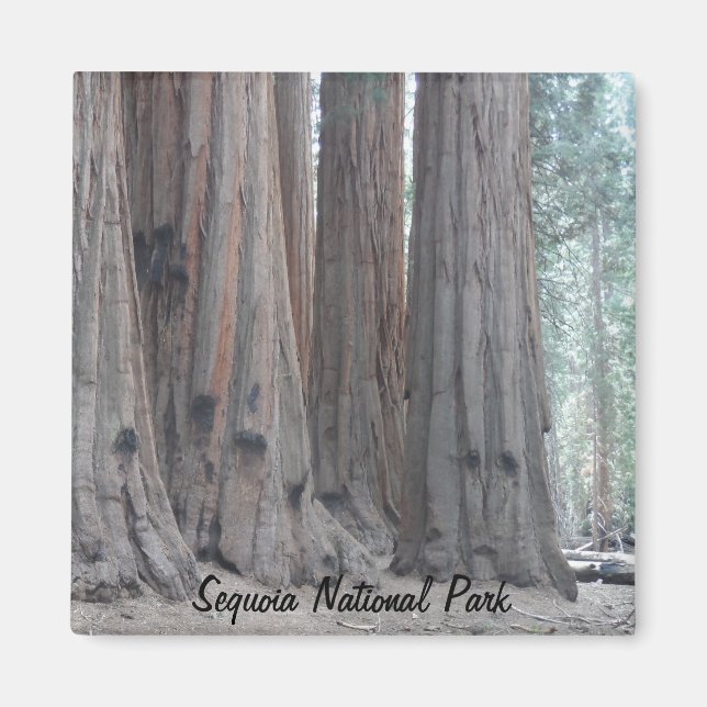 Imán Parque nacional Sequoia (Frente)