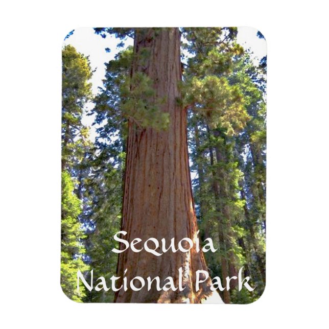 Imán Parque nacional Sequoia (Vertical)
