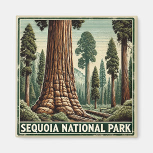 Imán Parque nacional Sequoia