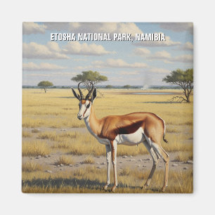 Imán Parque Nacional Springbok Etosha Namibia Viajes
